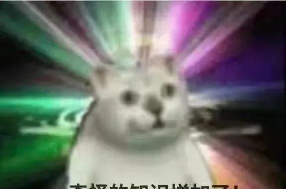 货代是什么,什么是靠谱的货代