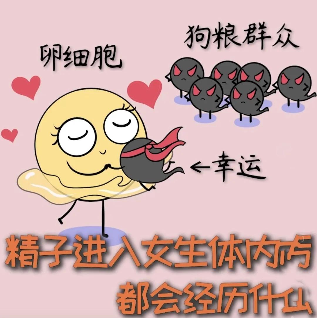 精子进入女孩体内后会经历什么?