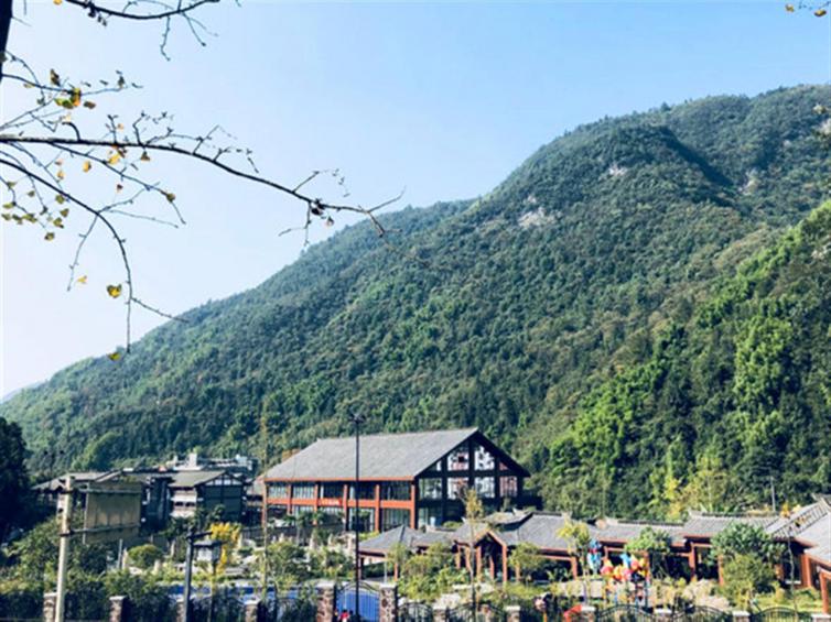 金佛山自驾二日游攻略6人,金佛山2日自驾游详细攻略