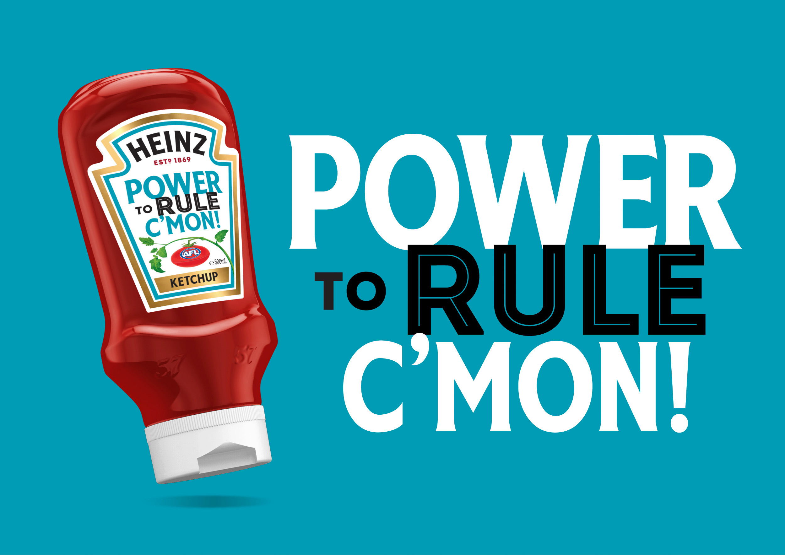 亨氏番茄酱大包装,亨氏番茄酱小包装宽度多少