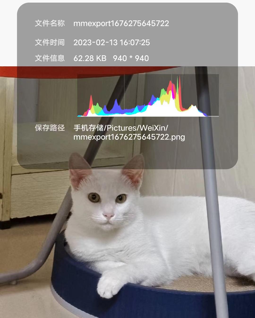 微信头像为啥用久了变浅,微信头像为什么会褪色