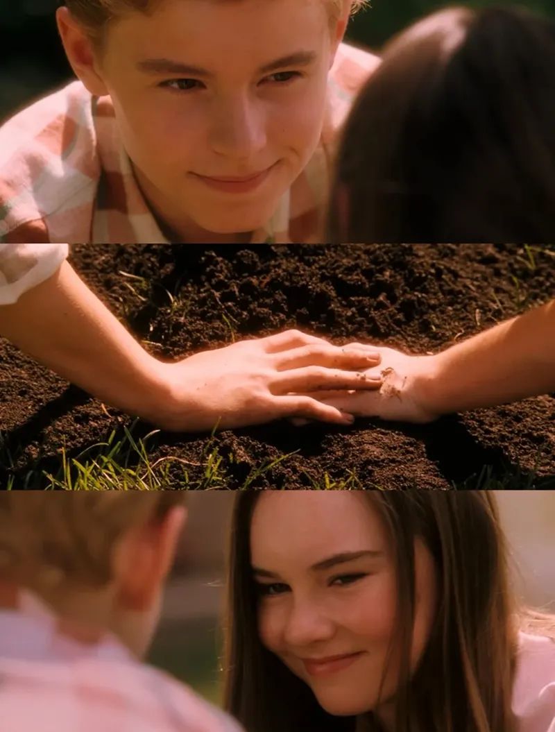 十部顶级神作9.5评分电影治愈系,十部顶级治愈心灵电影免费