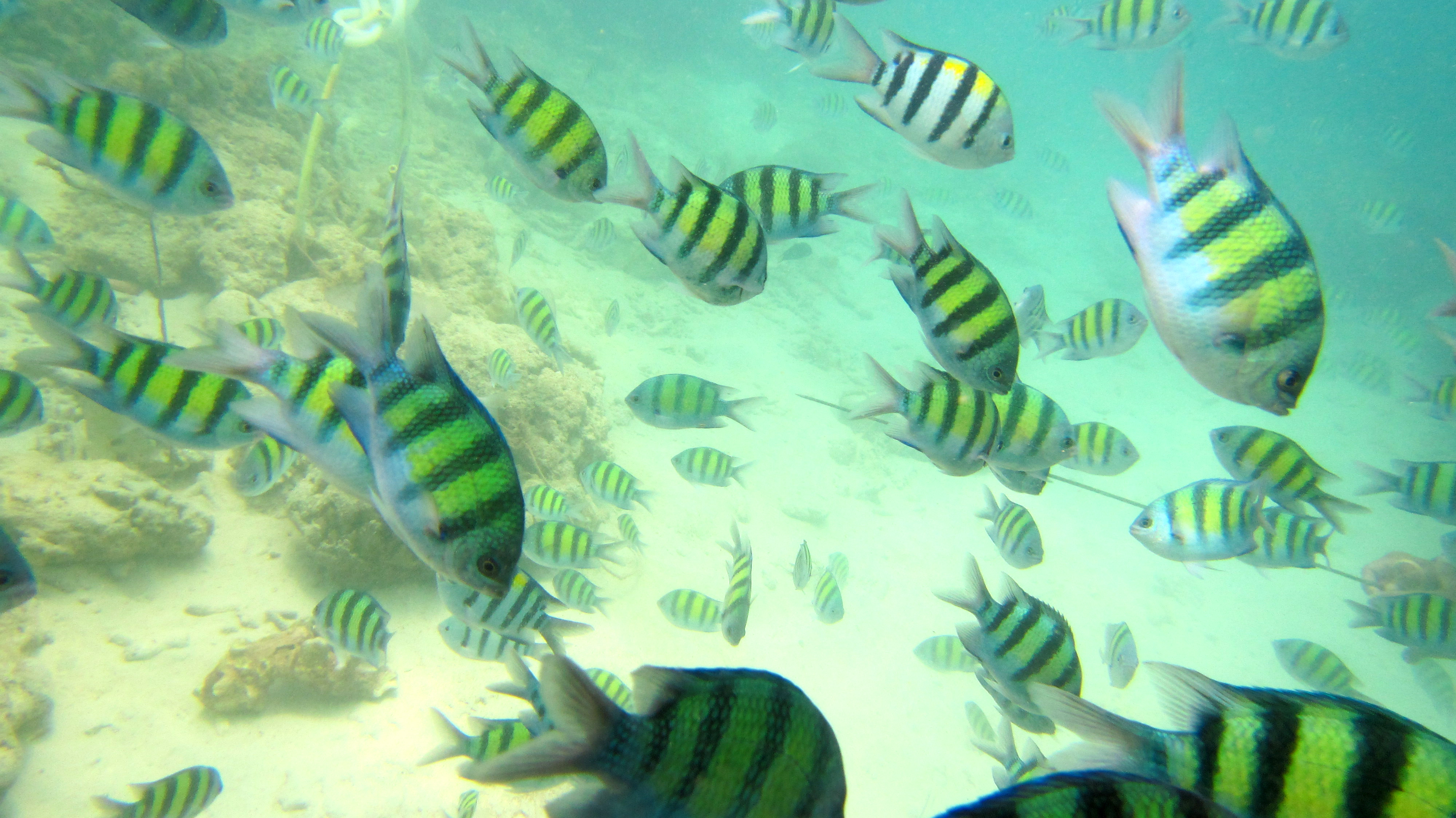 泰国三亚旅游对比,三亚和泰国旅游选择哪里