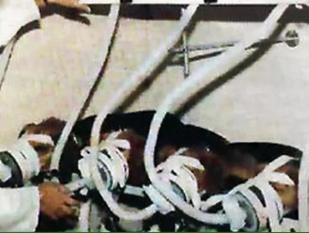 英国人用48只犬进行吸烟无害实验,英国48只狗测试抽烟危害