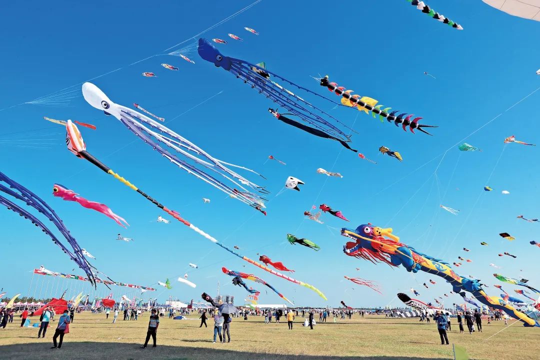 云门酱酒风筝春10,云门酱酒中酒展