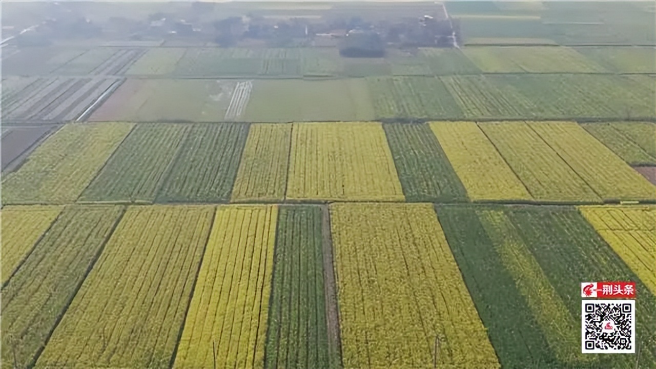 从发展实践看乡村振兴,沿红色足迹探索乡村振兴密码