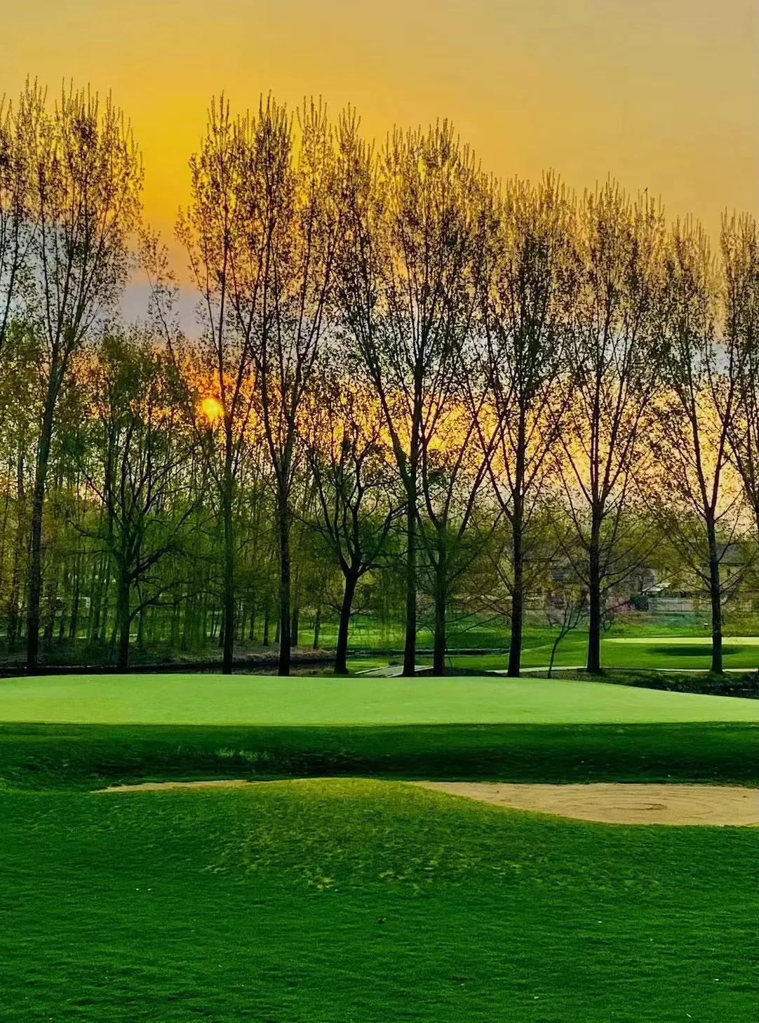 名著速读通七到九年级,名著速读500篇