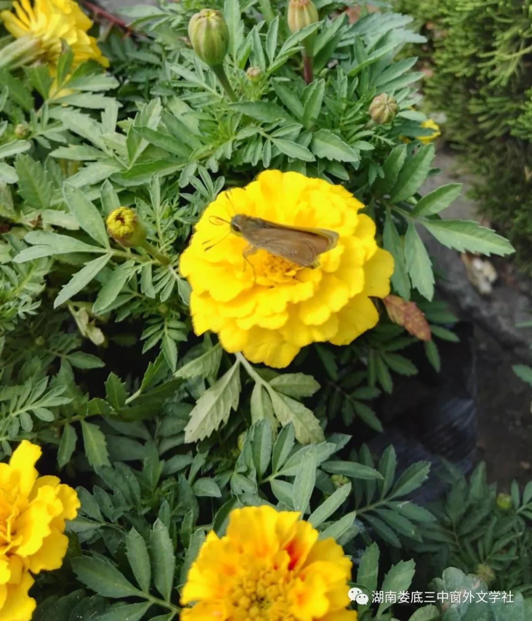 如何打造教育生态,好的教育生态