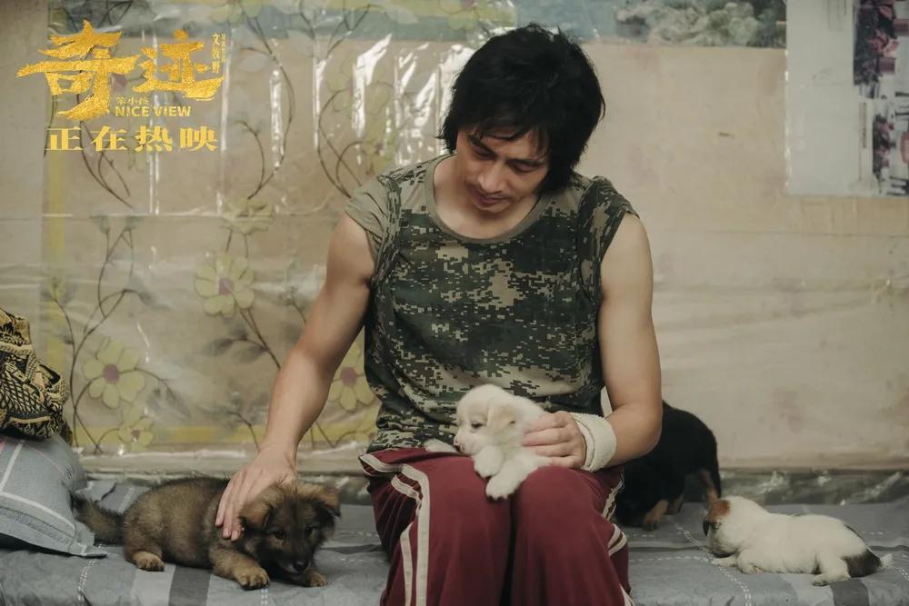 2018年备受期待的开年电影 (这一年看过的最好看的电影)