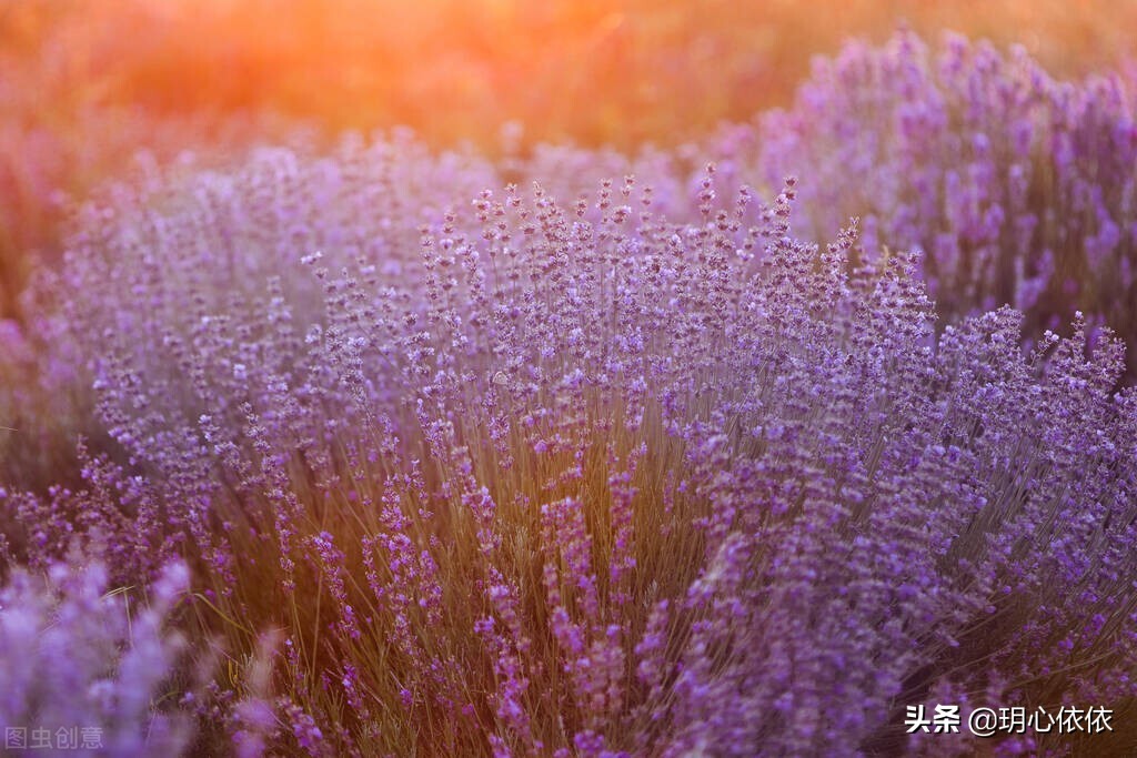 这些星座把自己活成财神爷，内心强大能力出众，心如真金光耀众生