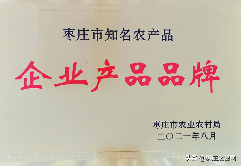 赵文真的挂面厂,赵文真挂面厂