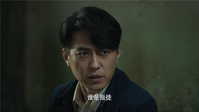 陈道明和王志文演的所有电视剧,谍战剧无间王志文扮演的角色