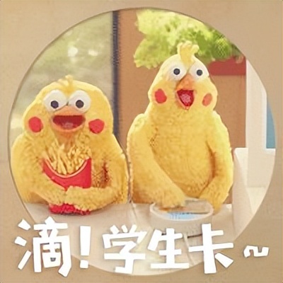 自学编程建议接单吗,编程零基础建议看什么书