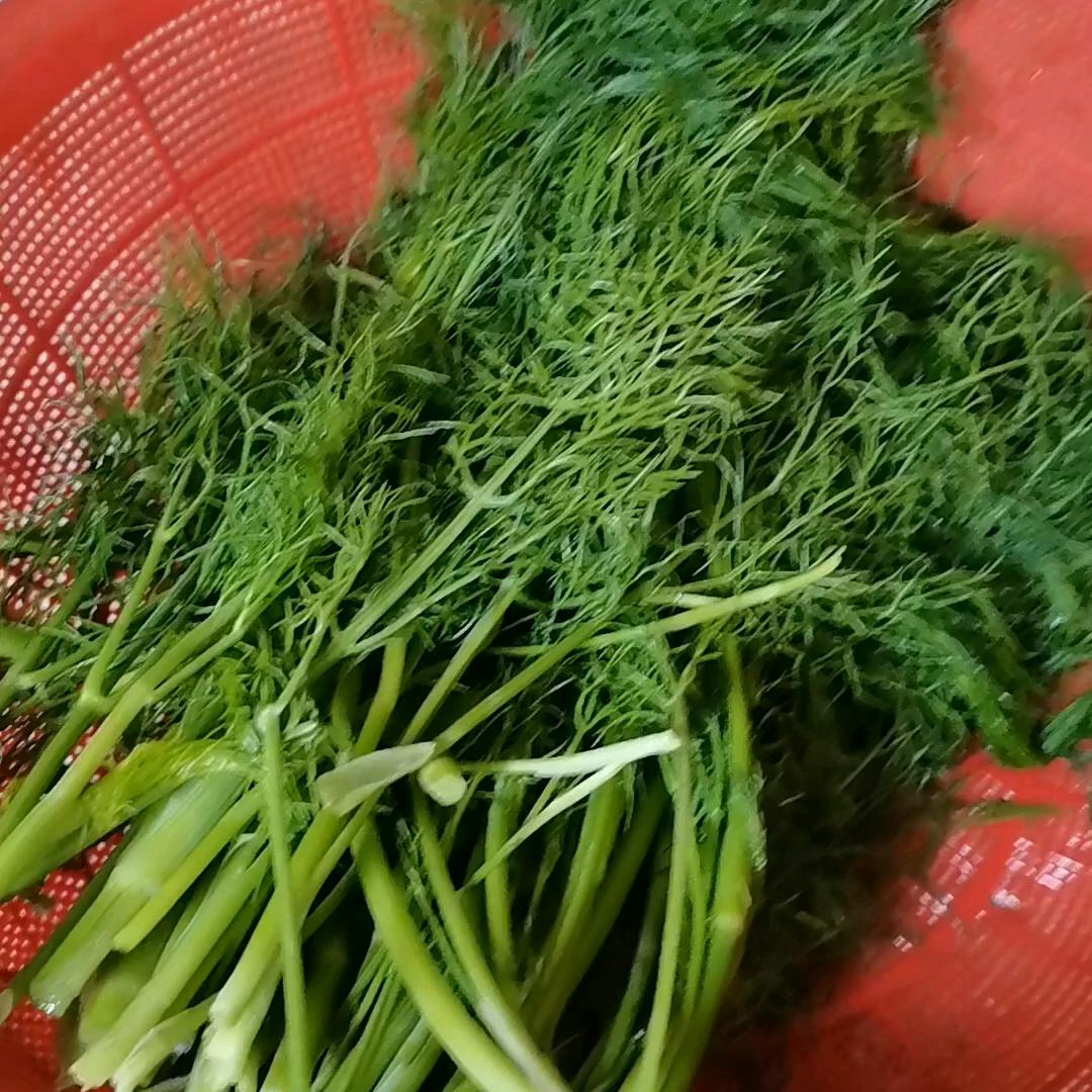 茴香鸡蛋馅饺子怎么做最简单好吃,茴香馅的饺子好吃吗