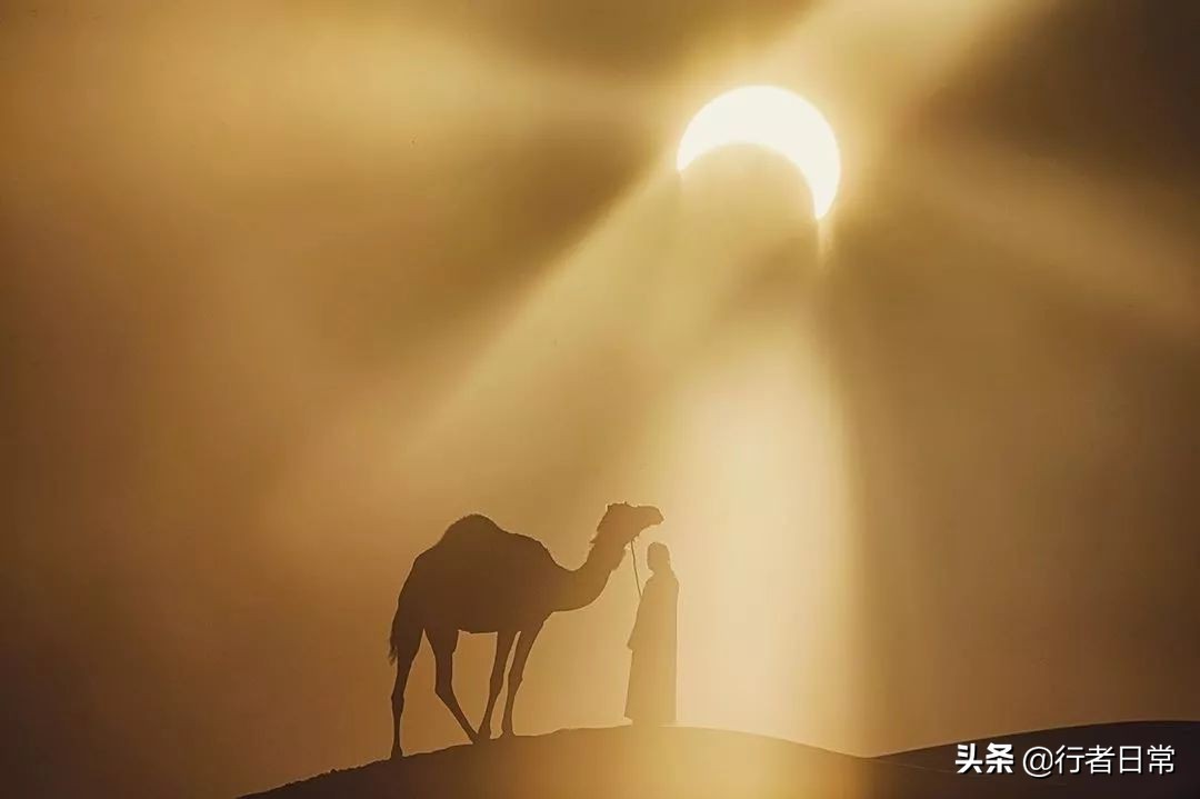 河西走廊就是甘肃吗,这就是甘肃文章