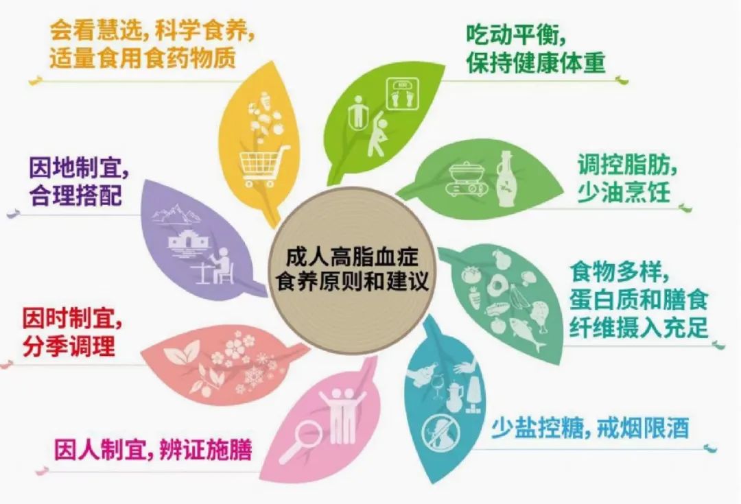 血脂异常的饮食食谱,如何科学搭配三餐饮食降低血脂