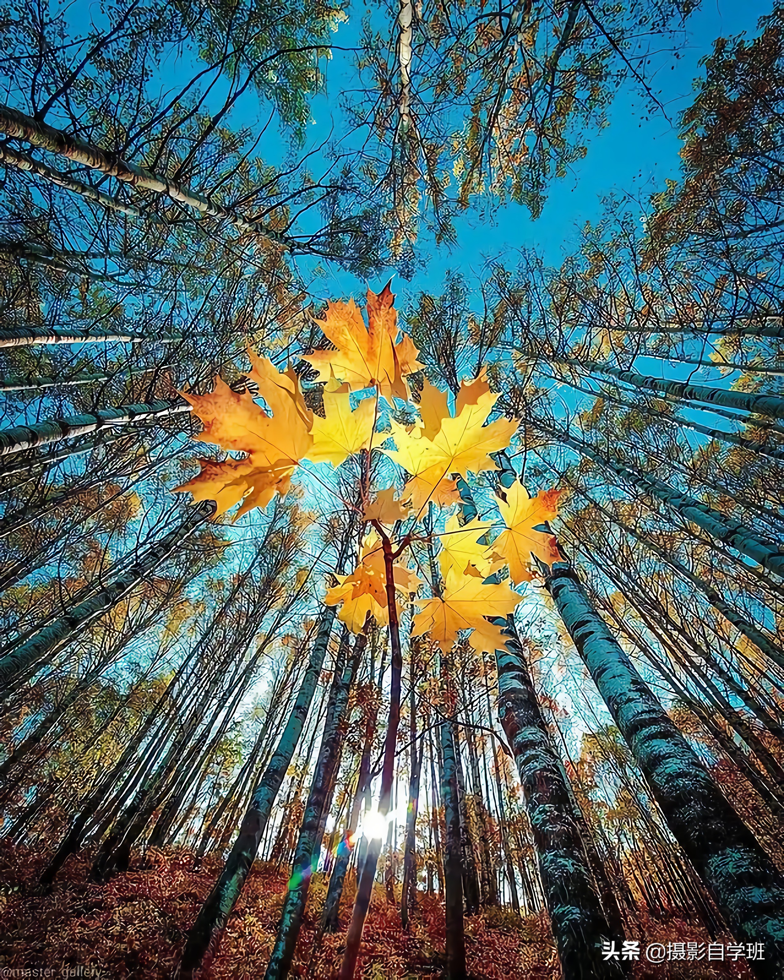 8个风景摄影小技巧,风光摄影8大技巧书