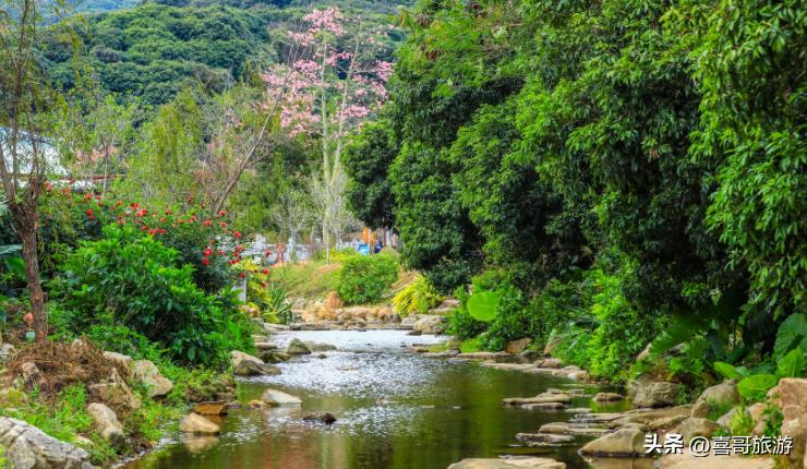 深圳福田区旅游攻略,深圳福田区旅游景点有哪些