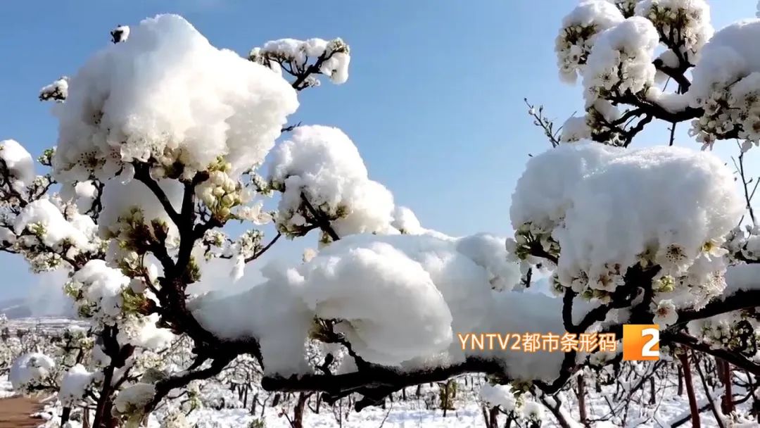 昆明今日迎来降雪图片,昆明迎来降雪高速路