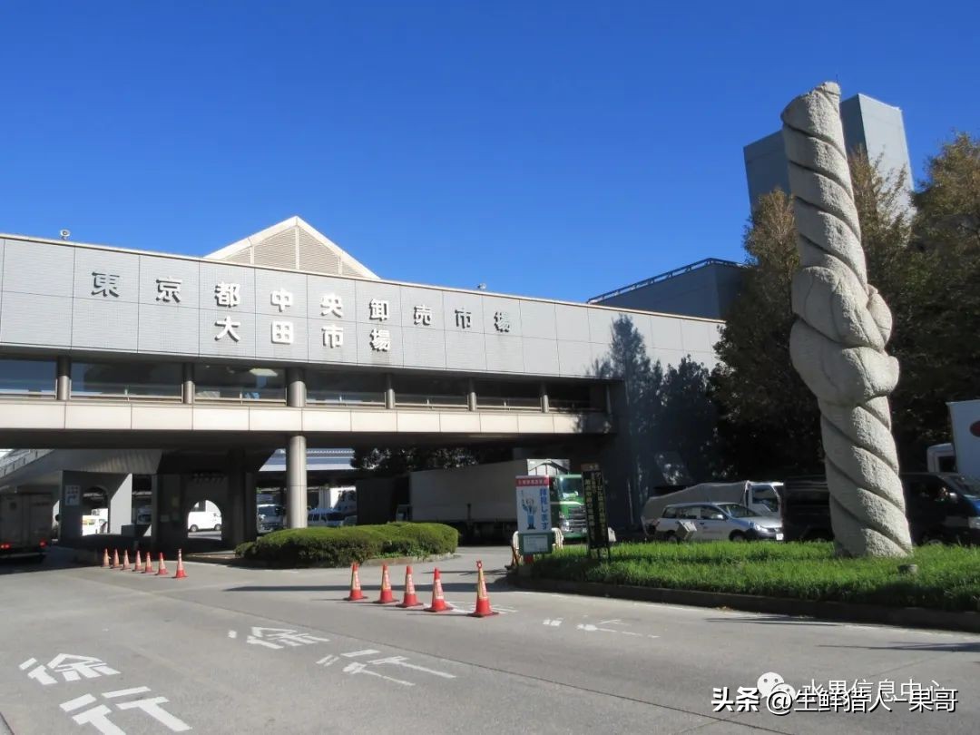 中国十大果蔬批发市场,全国十大蔬果批发市场