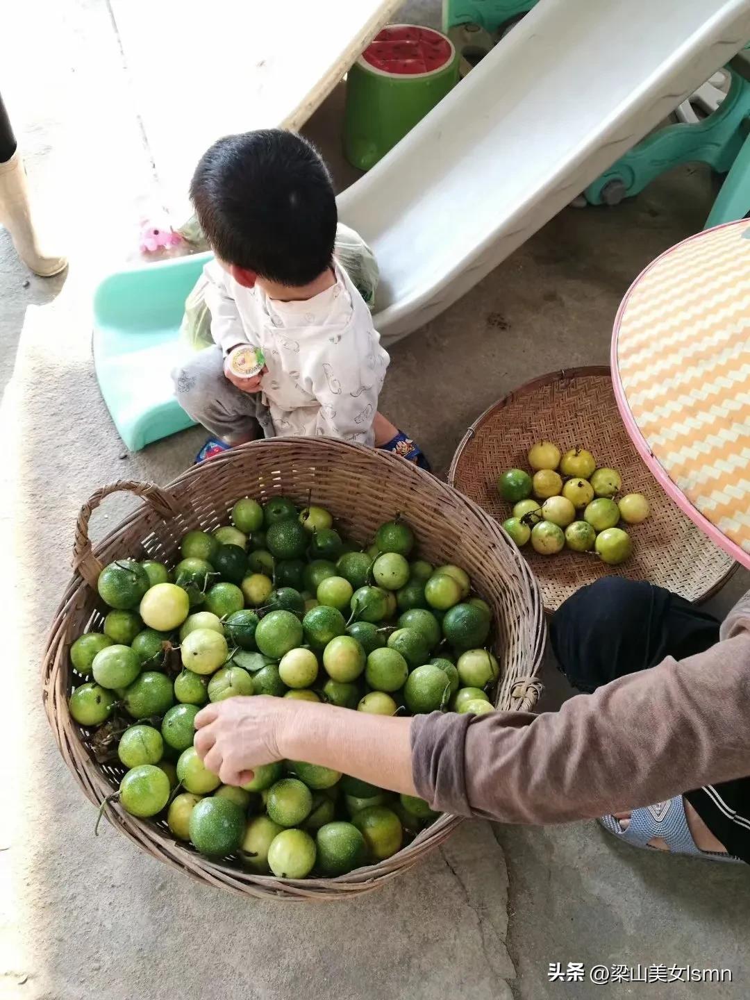 为何广西水果那么出名,为什么广西水果那么丰富