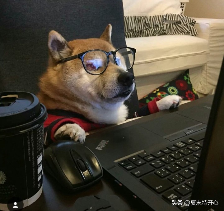 让你笑岔气的笑话,搞笑的让你笑岔气的小故事