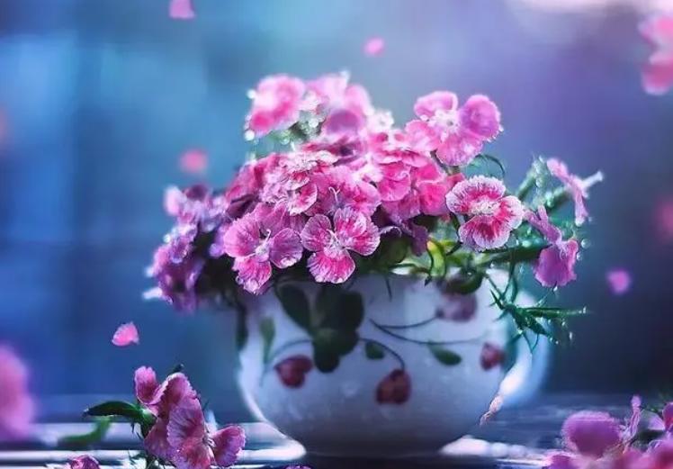 自带财运图片,走财运的人有什么特征