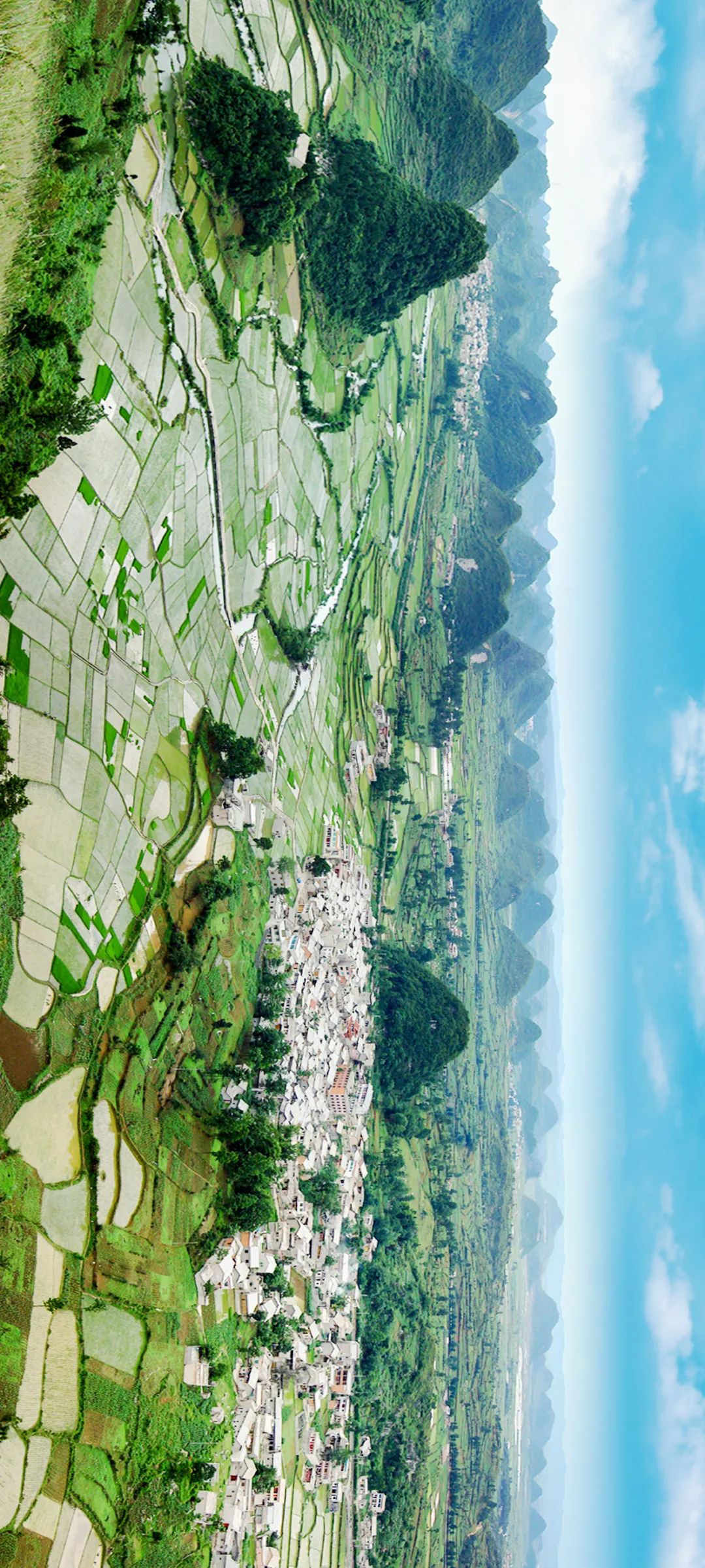 绿色狂想曲,绿色狂想曲三年级