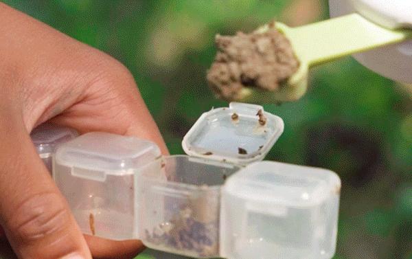 儿童探索放大镜多少倍合适,家长应不应该给孩子买显微镜