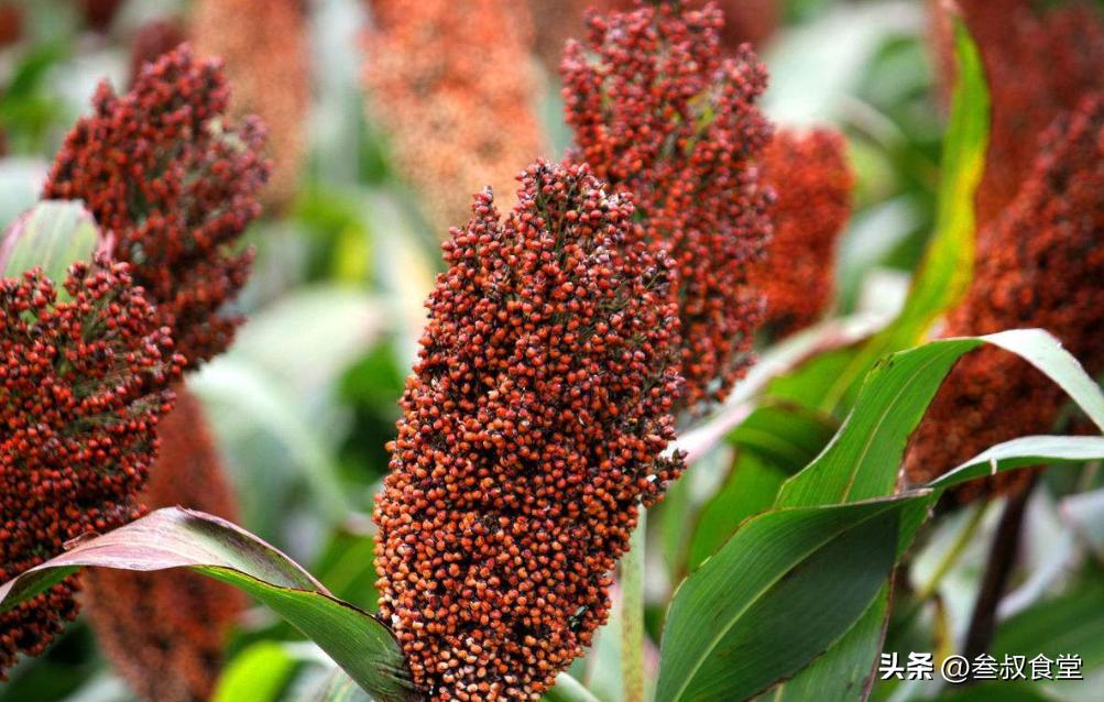 酒水批发零售挣钱吗,酒水零售店利润一般在多少