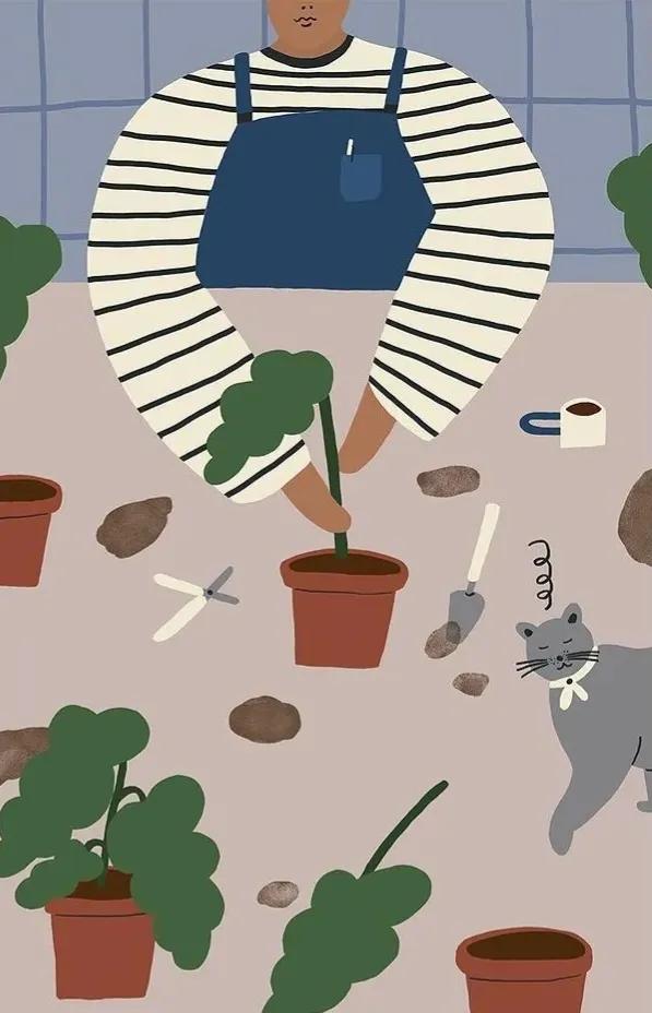 往事归零爱恨随意抖音,往事归零爱恨随意小说