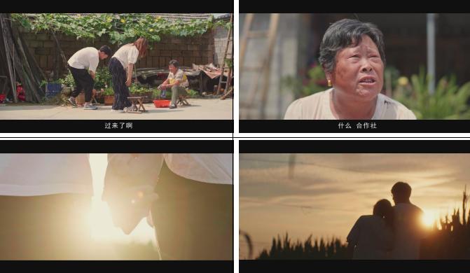 热门三农视频文案素材,三农类乡村生活视频文案