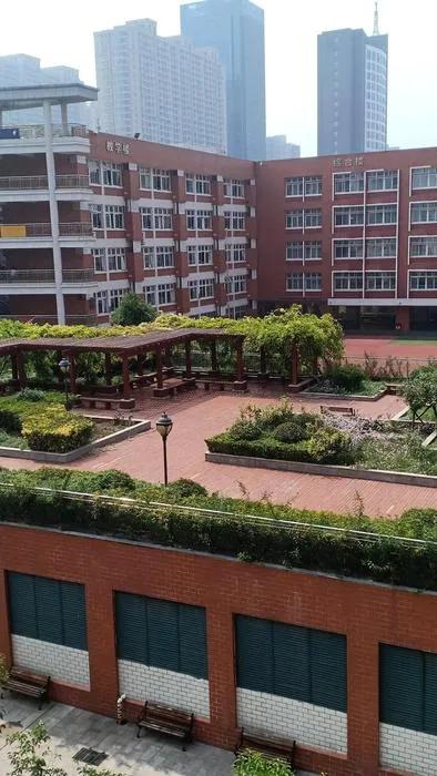 郑州外国语中学推荐标准,郑州外国语中学推荐名额2019