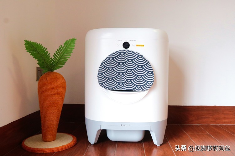 开放自动猫砂盆测评,有陪智能猫砂盆真实测评