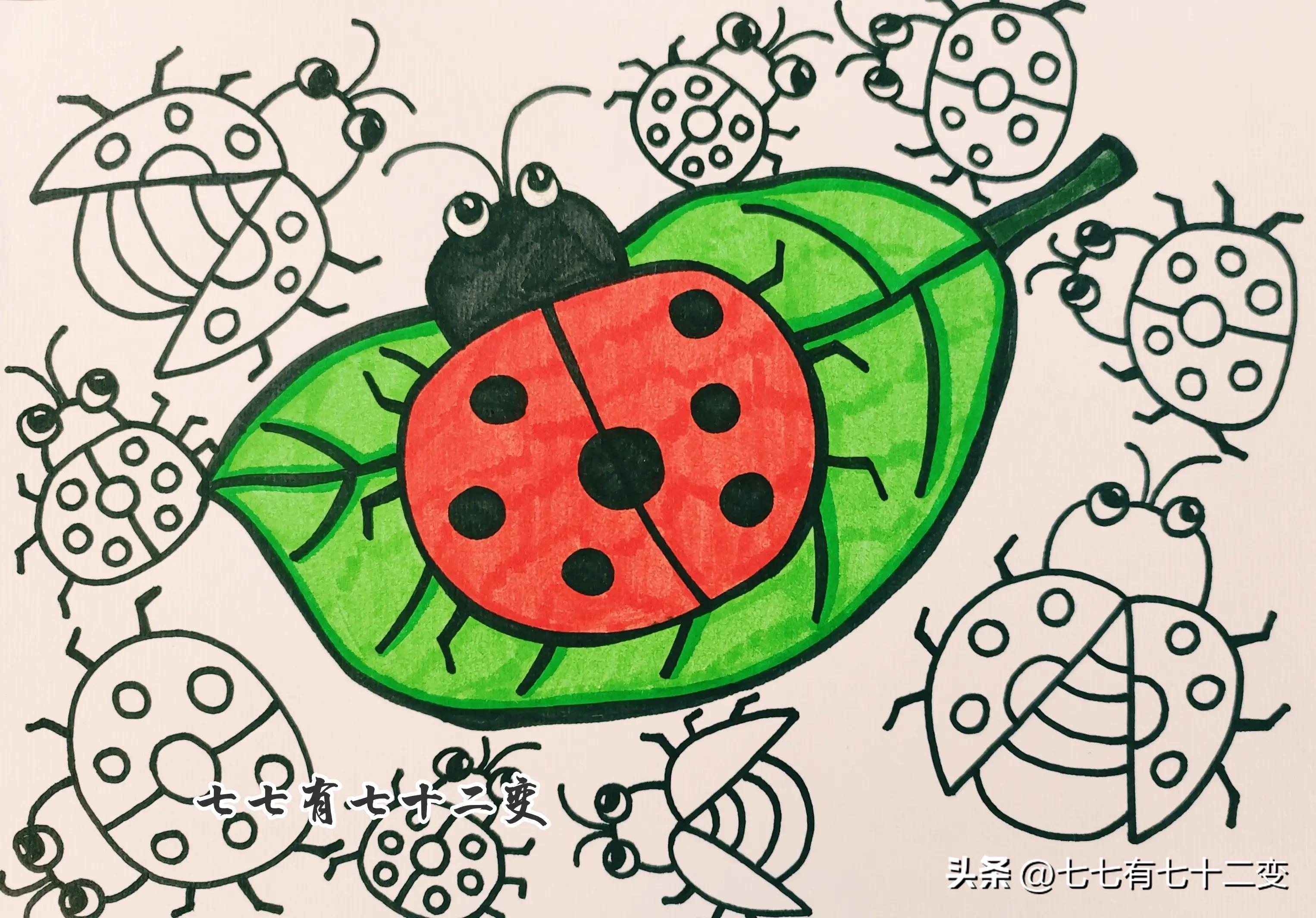 创意儿童画七星瓢虫6-7岁,儿童画作品大全简单七星瓢虫涂色