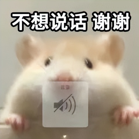 开车深圳北站送人怎么进站,深圳北站广场进站详细流程