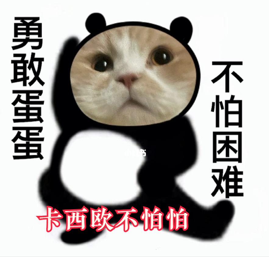 卡西欧营销存在的问题,卡西欧的营销引导