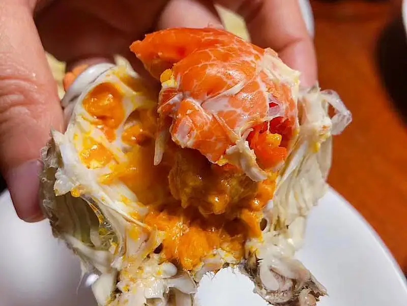 一招学会挑肥美梭子蟹,买梭子蟹攻略