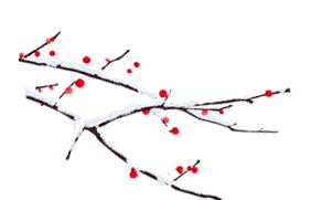 重庆轨道交通5个车站,重庆轨道交通10号线曾家岩车站