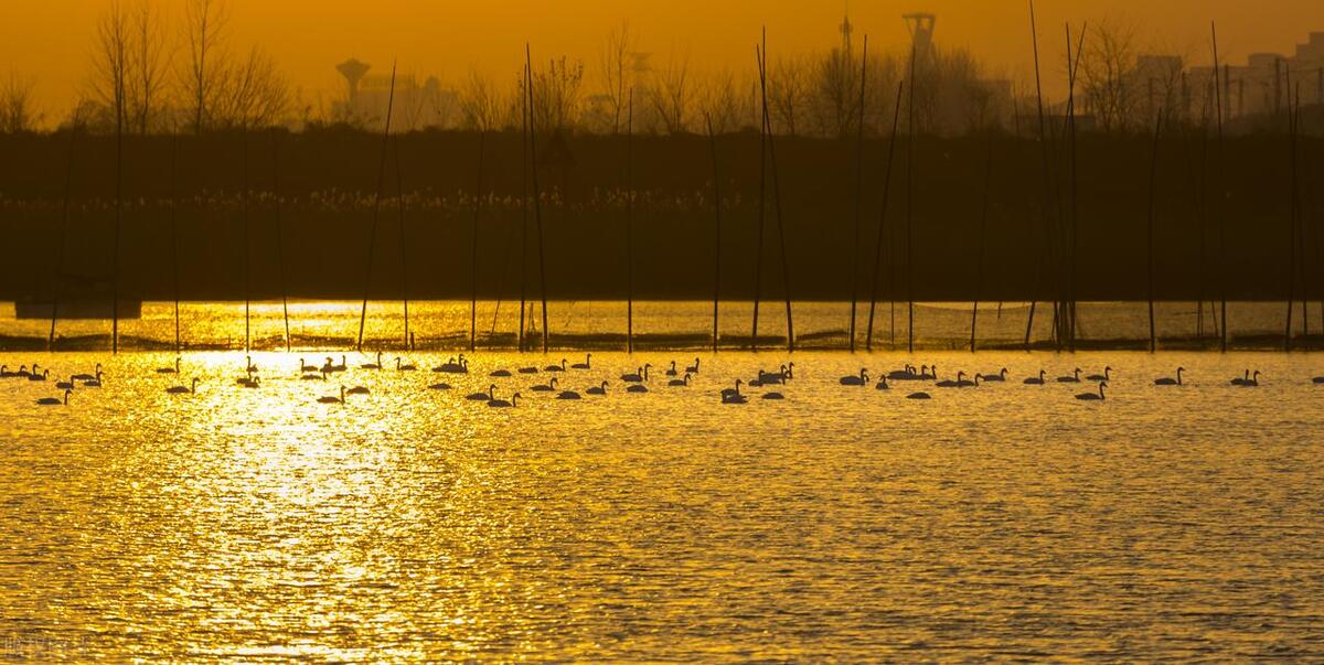 安徽凤台县名字由来,凤台县历史由来
