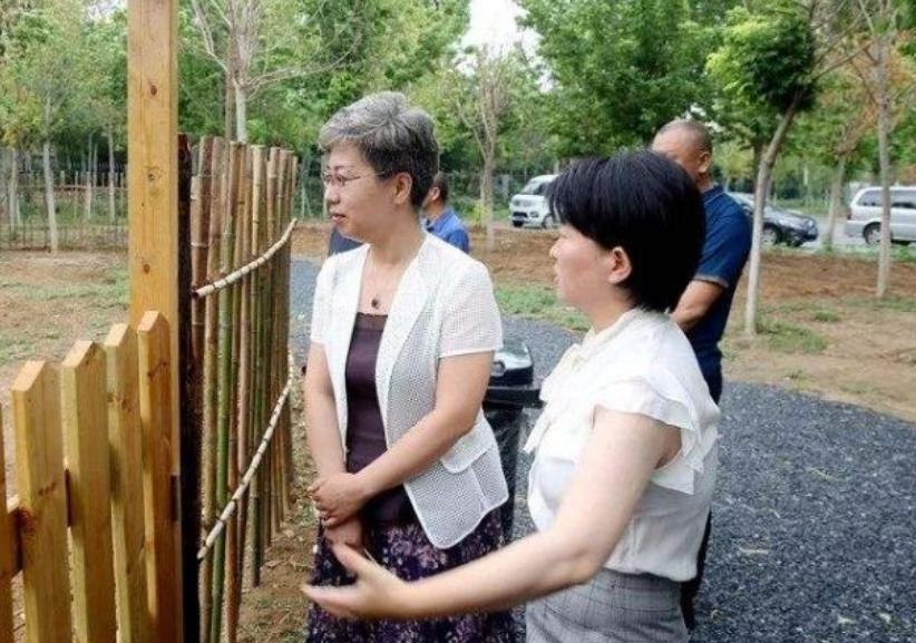 女博士放弃百万年薪回农村种梨,女博士放弃年薪两百万回乡种茶