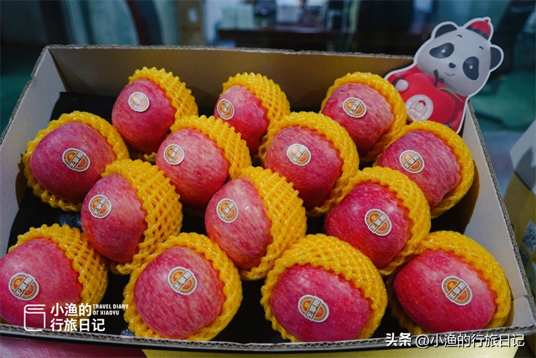 正宗陕西洛川红富士苹果水果,正宗陕西洛川苹果大果