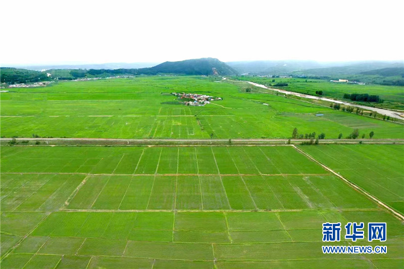 延边最出名的大米延边龙井大米,海兰江畔美景