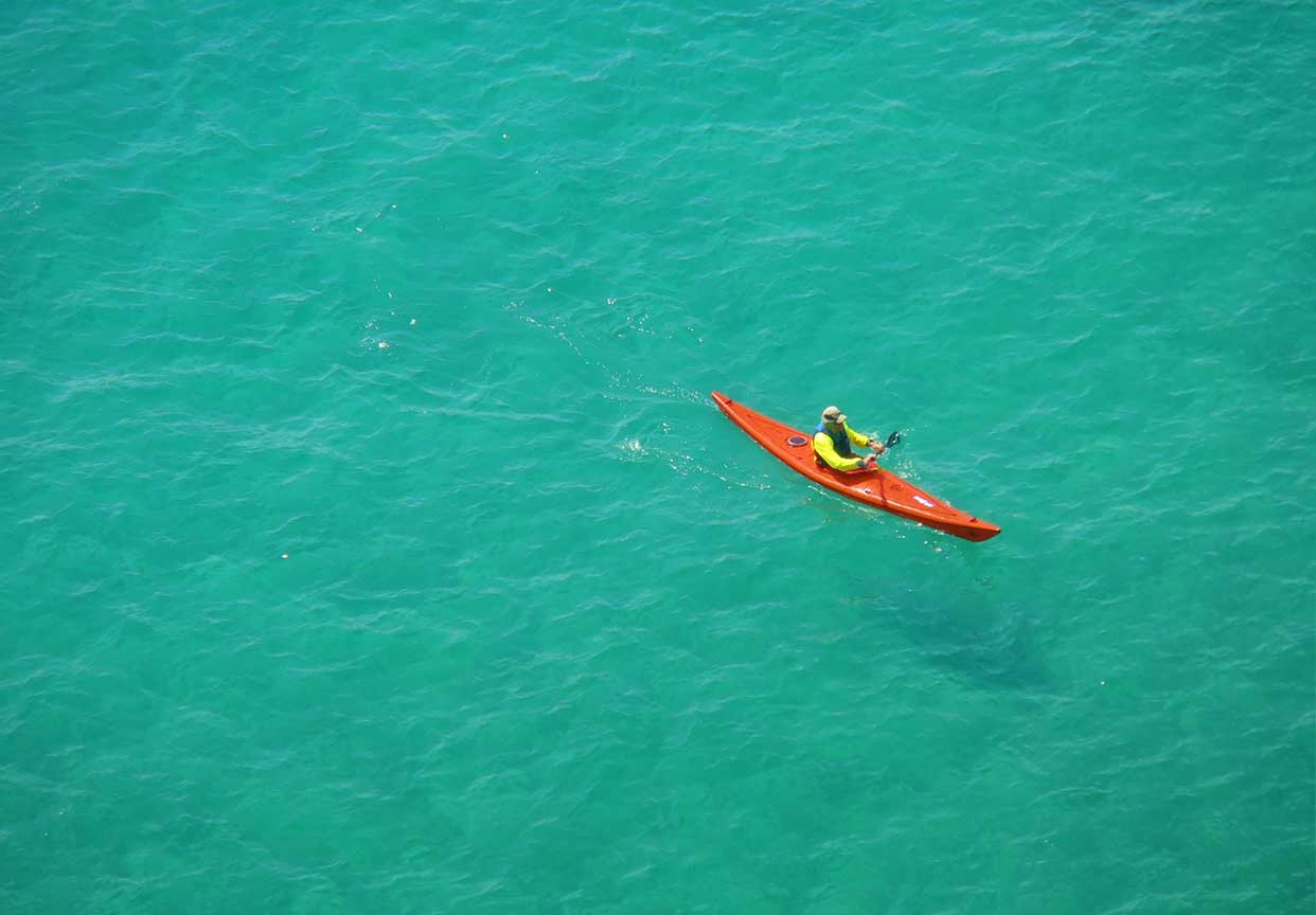 后疫情时代都是哪些人在赚钱,后疫情时代我们该如何赚钱