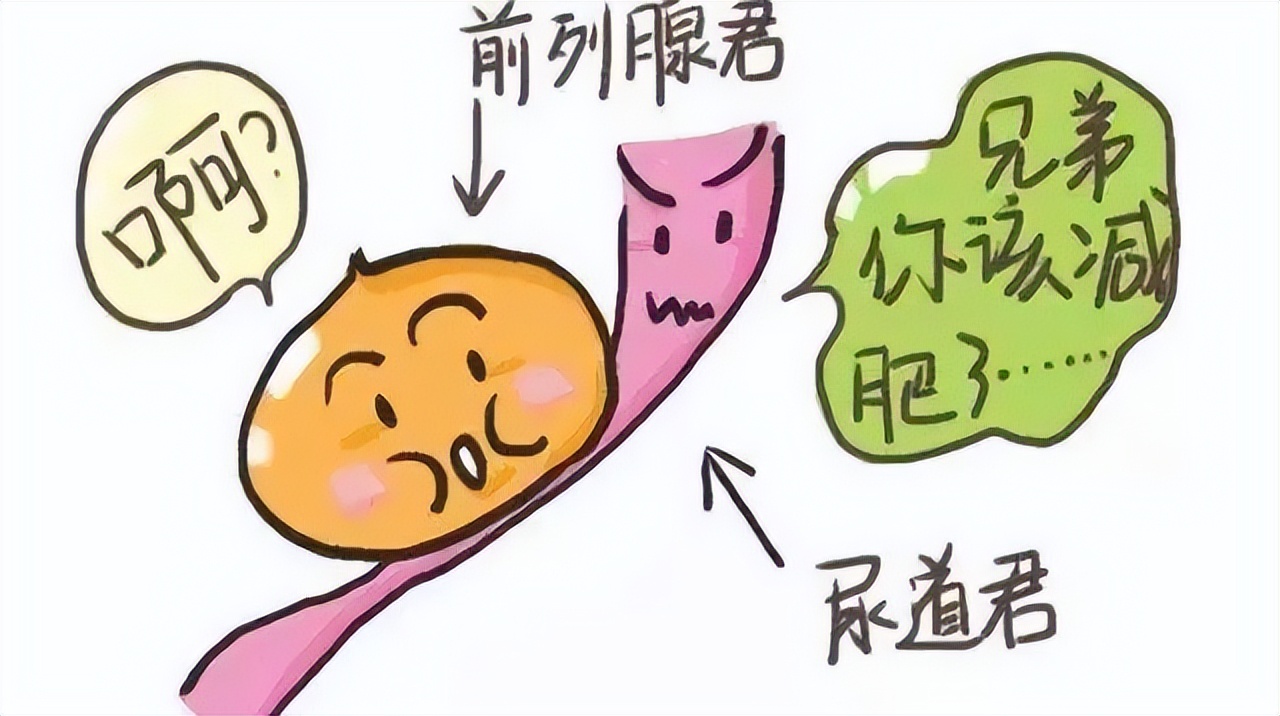 增生变大的原因,增生和再生的区别