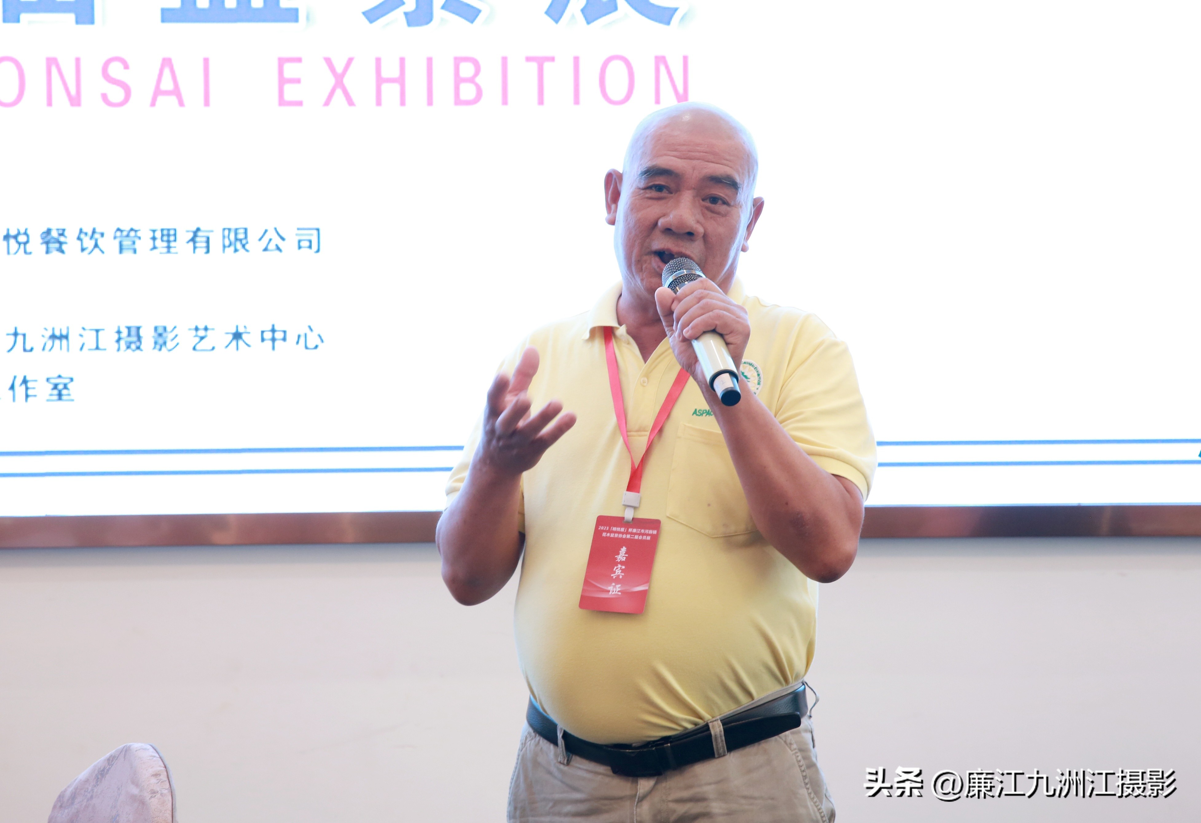 最高端的盆景展,一场惊艳的盆景展