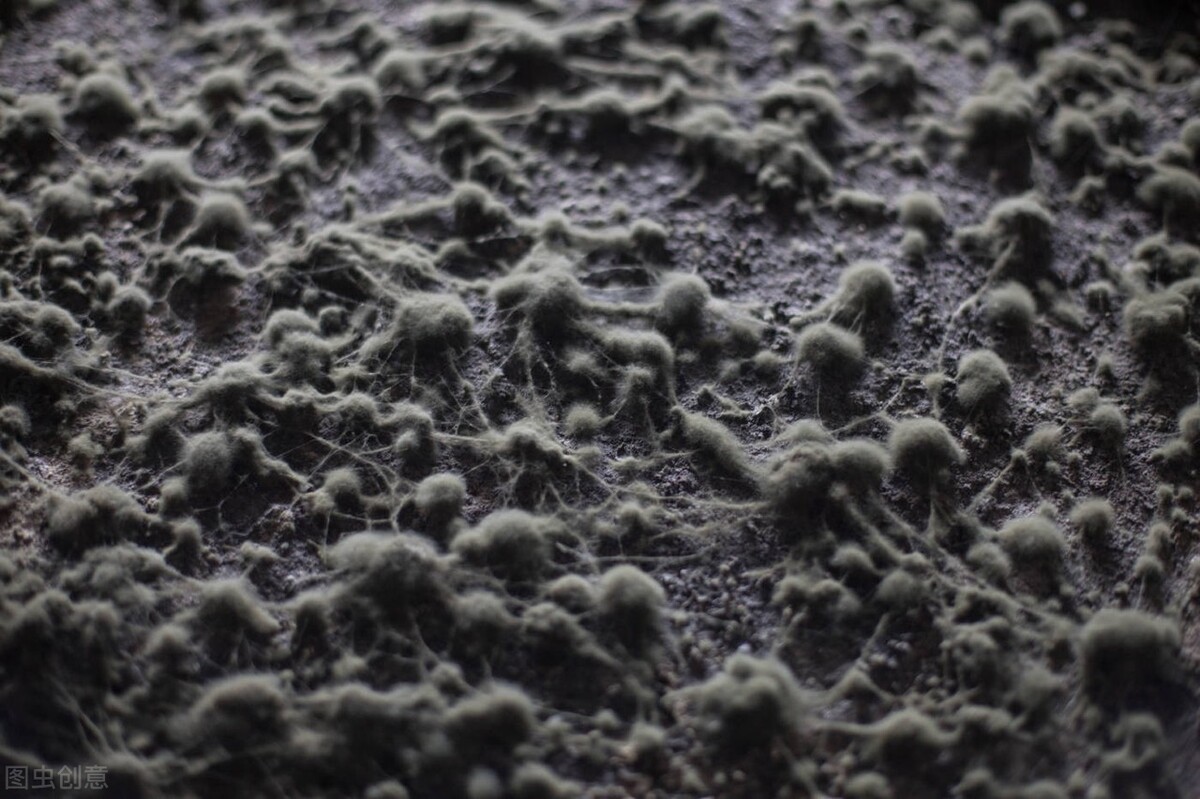 何为灰指甲灰指甲就是甲癣吗,灰指甲又叫甲癣早期表现为甲沟炎