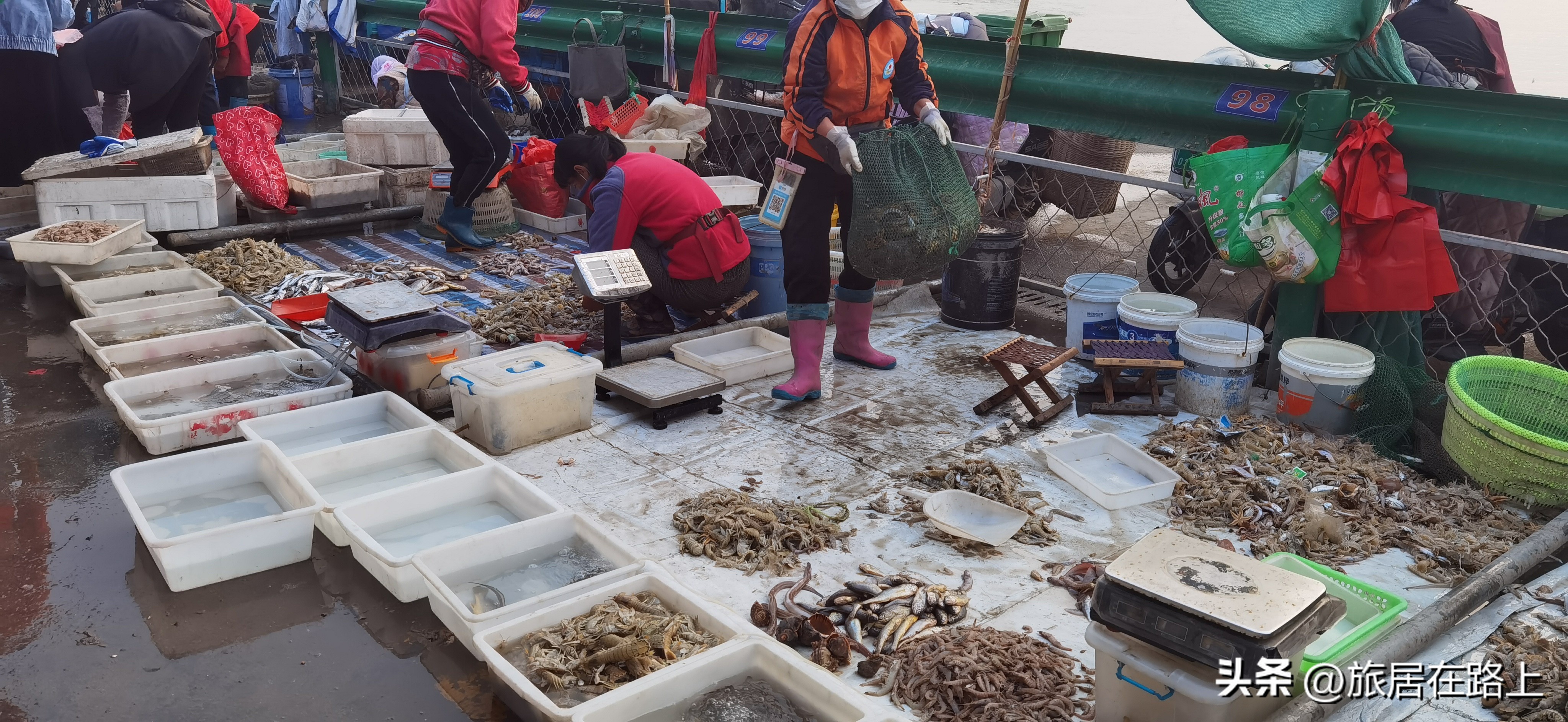 日照天气,日照直播