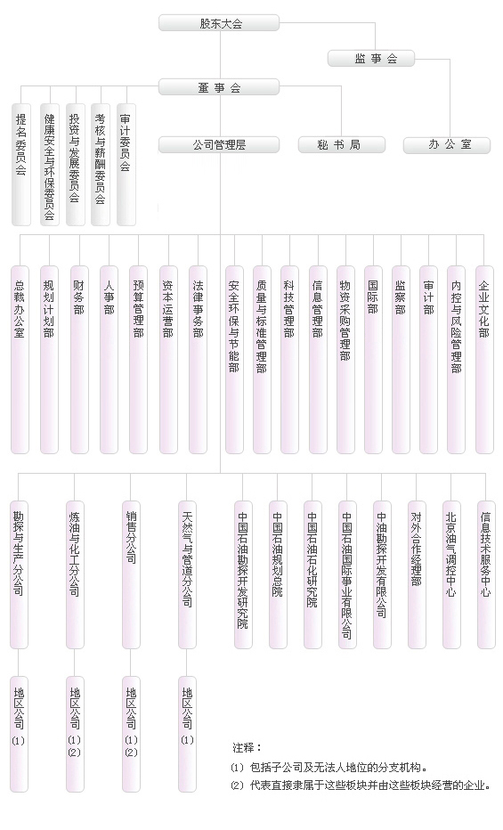 中国石油发展现状分析报告,中国石油分析