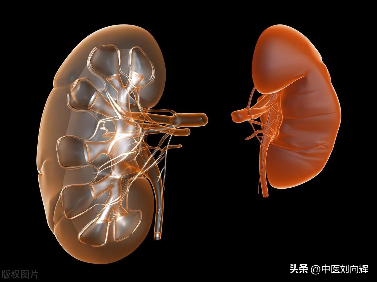 补肾补阳补脾胃吃什么,中药补肾补脾补精气神配方